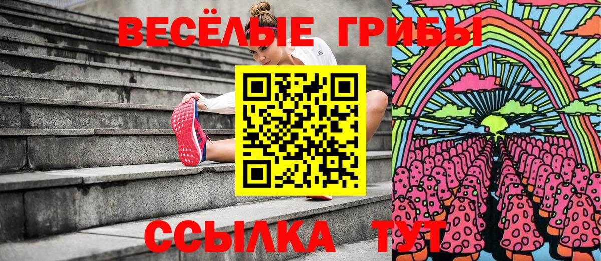Псилоцибиновые грибы ЛСД  Вход с VPN  Нефтекумск 