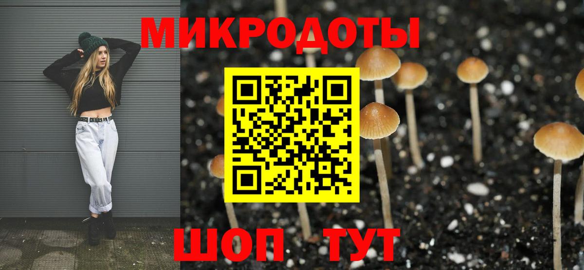 Псилоцибиновые грибы Cubensis Нефтекумск